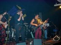 The Bullfrogs